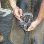 Parker County Farrier Supply - Great Products at a great price.